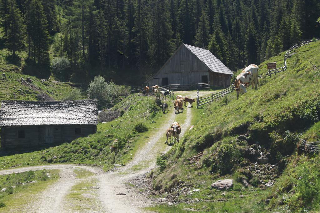 Апартаменты Der Perweinhof Доннерсбахвальд Экстерьер фото